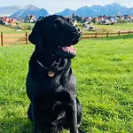 Tatrzanskie Kacina * Murzasichle