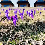 Tatrzanskie Kacina Chalet Murzasichle