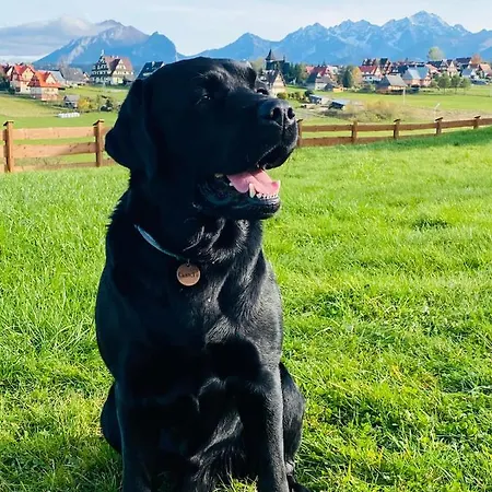 Tatrzanskie Kacina * Murzasichle