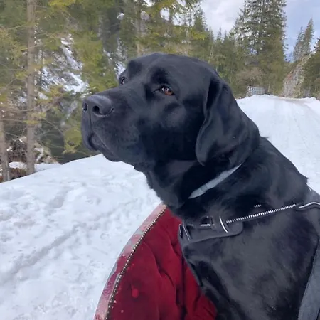 Tatrzanskie Kacina Chalet