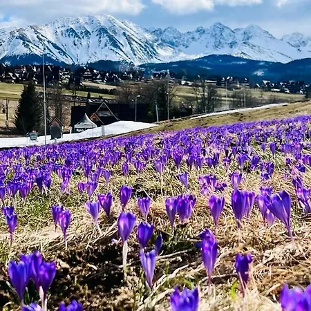 Tatrzanskie Kacina Chalet *